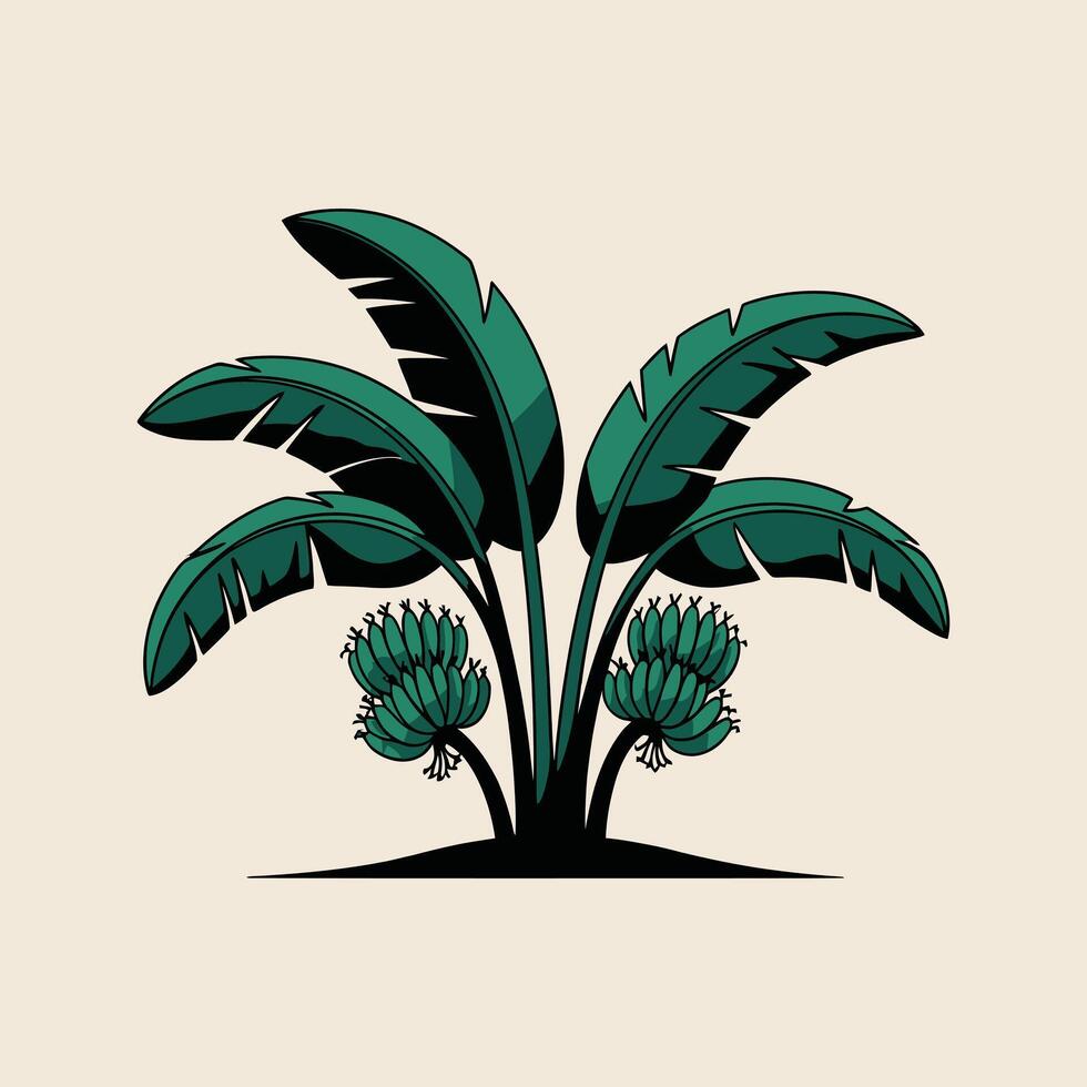 Banana Tree with Green Banana Bunches vector