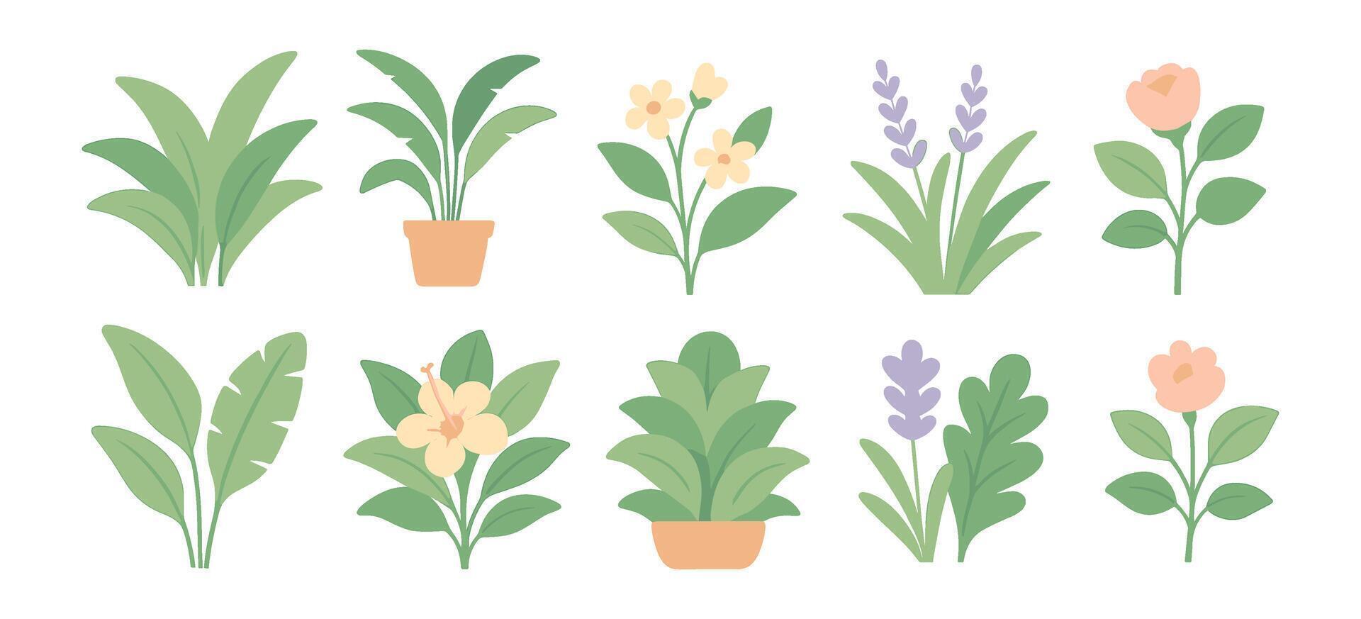 Collection of Diverse Floral Elements Displaying a Variety of Plants and Flowers for Creative Projects vector
