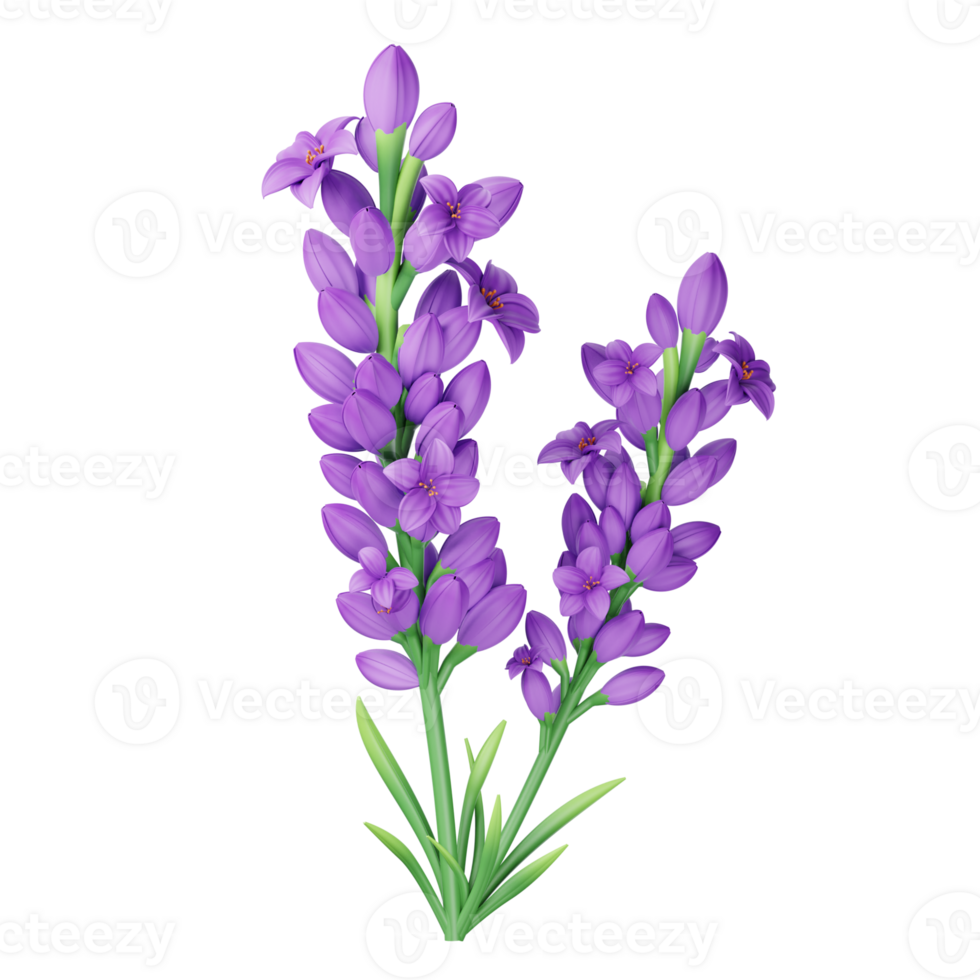Purple flowers on a black background png
