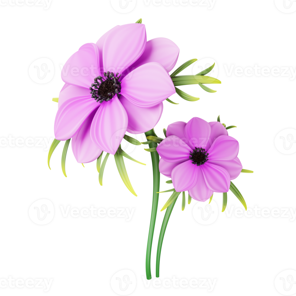 Two purple flowers are shown on a black background png