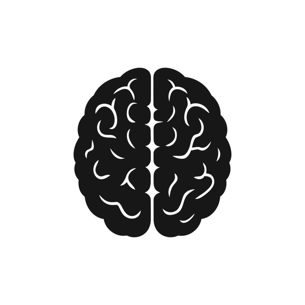 Understanding Human Brain Function An Overview for General Knowledge vector