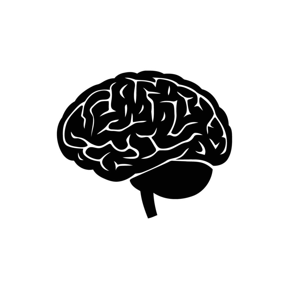 Human Brain Anatomy and Function Diagram Detailed Illustration Concept vector