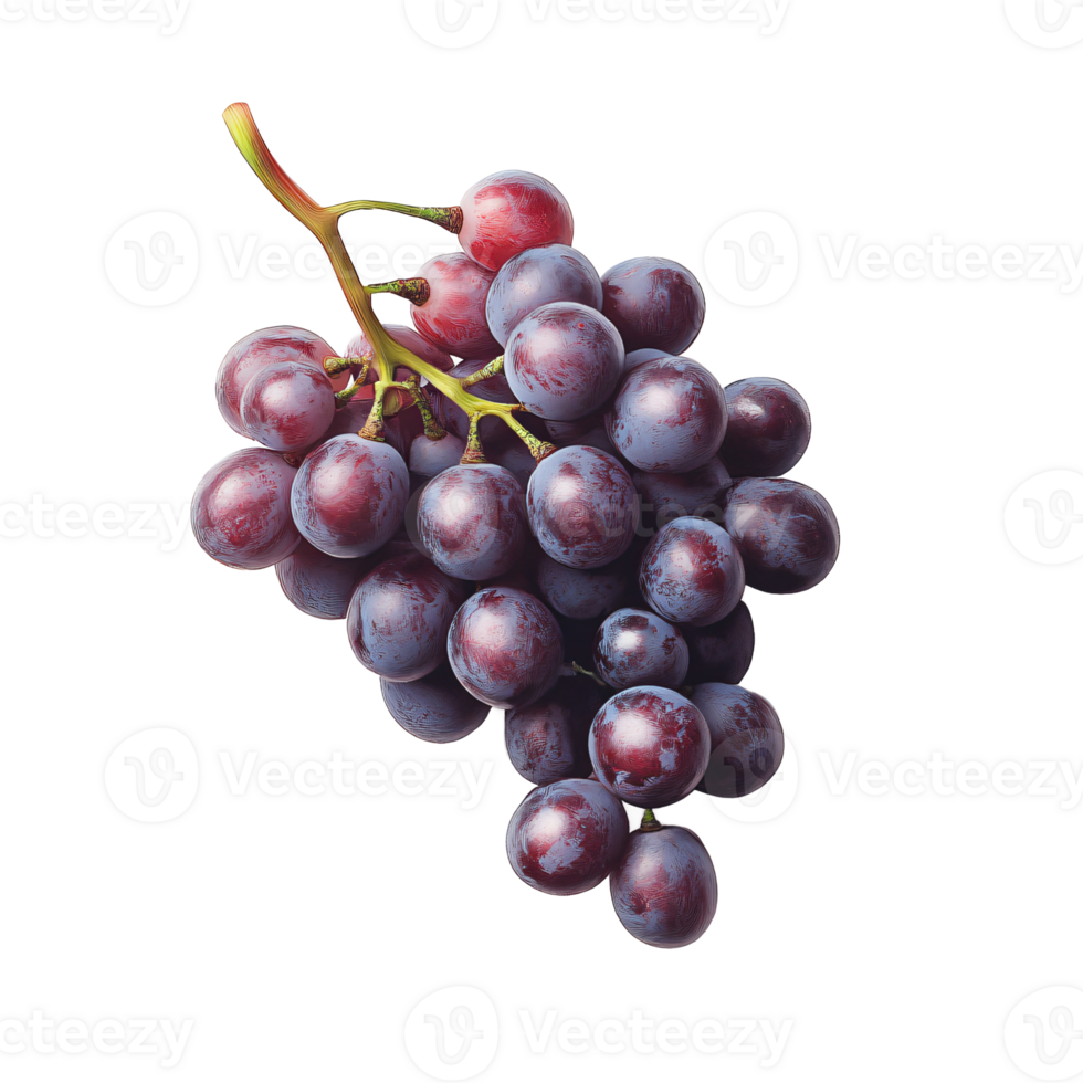 A bunch of grapes on a transparent background png