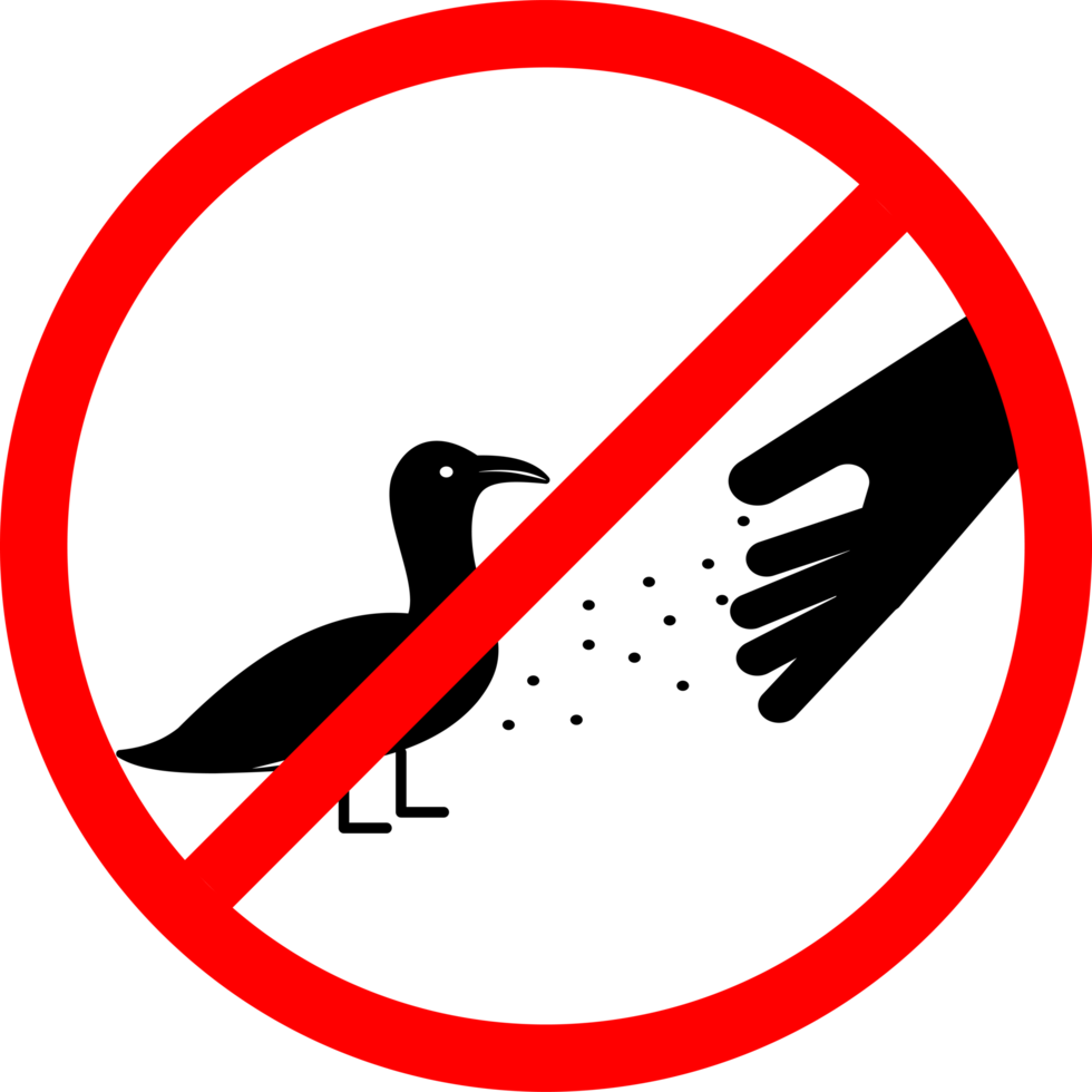 bird feeding prohibited area. Do not feed birds forbidden signs. no feeding bird sign. no animal feeding sign png