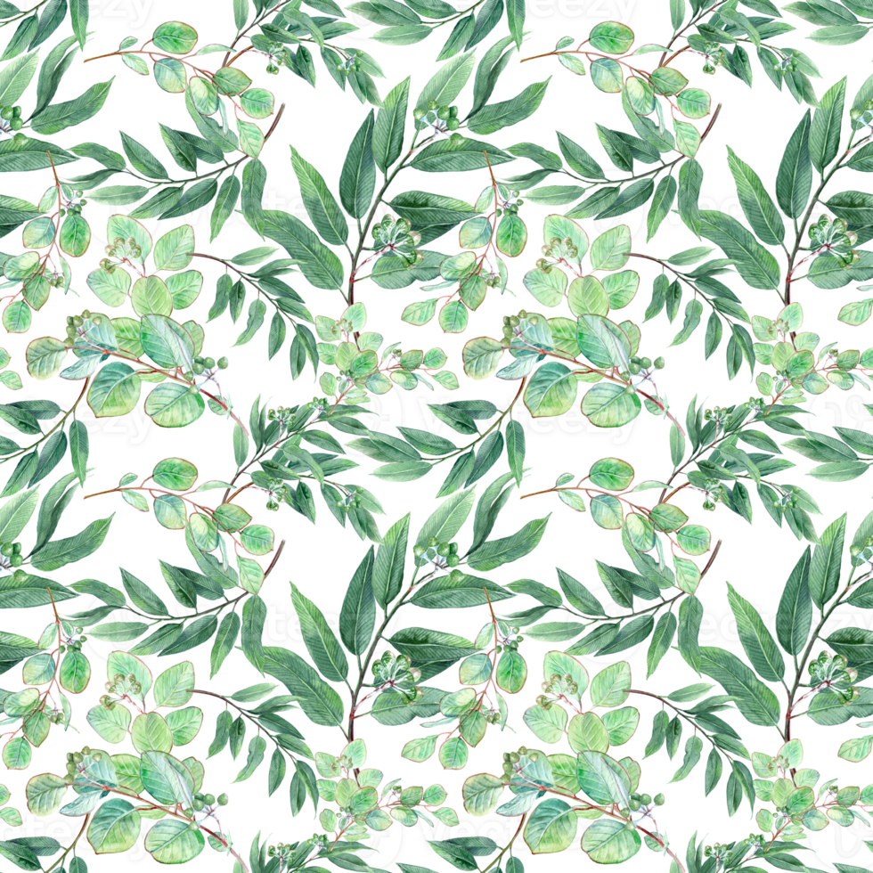Wrapping paper nit-green Eucalyptus Branches png