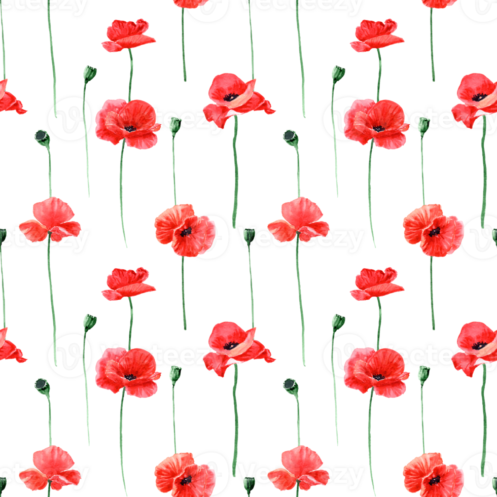 seamless pattern with red poppies on transparent background png