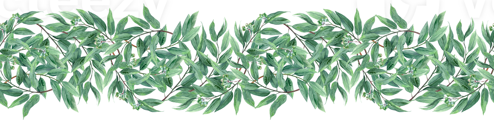 Seamless Border greenery of Eucalyptus png