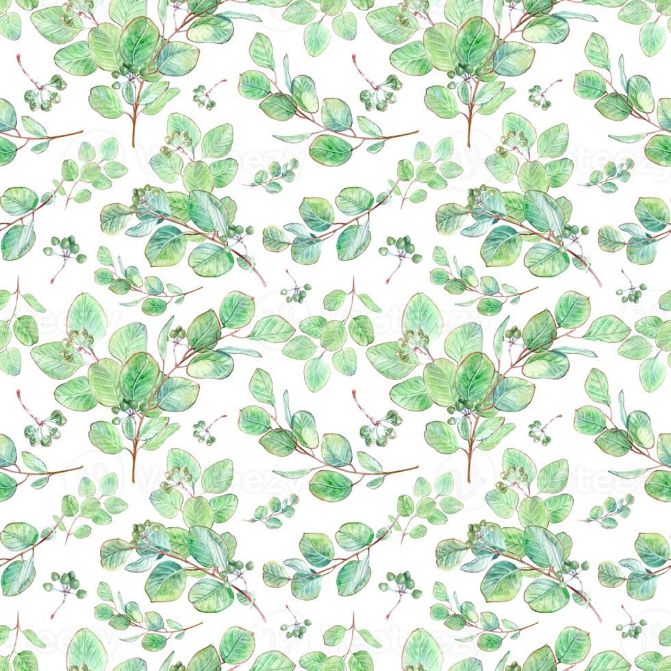 Seamless Pattern Geenery on the dark background. Eucalyptus branches png