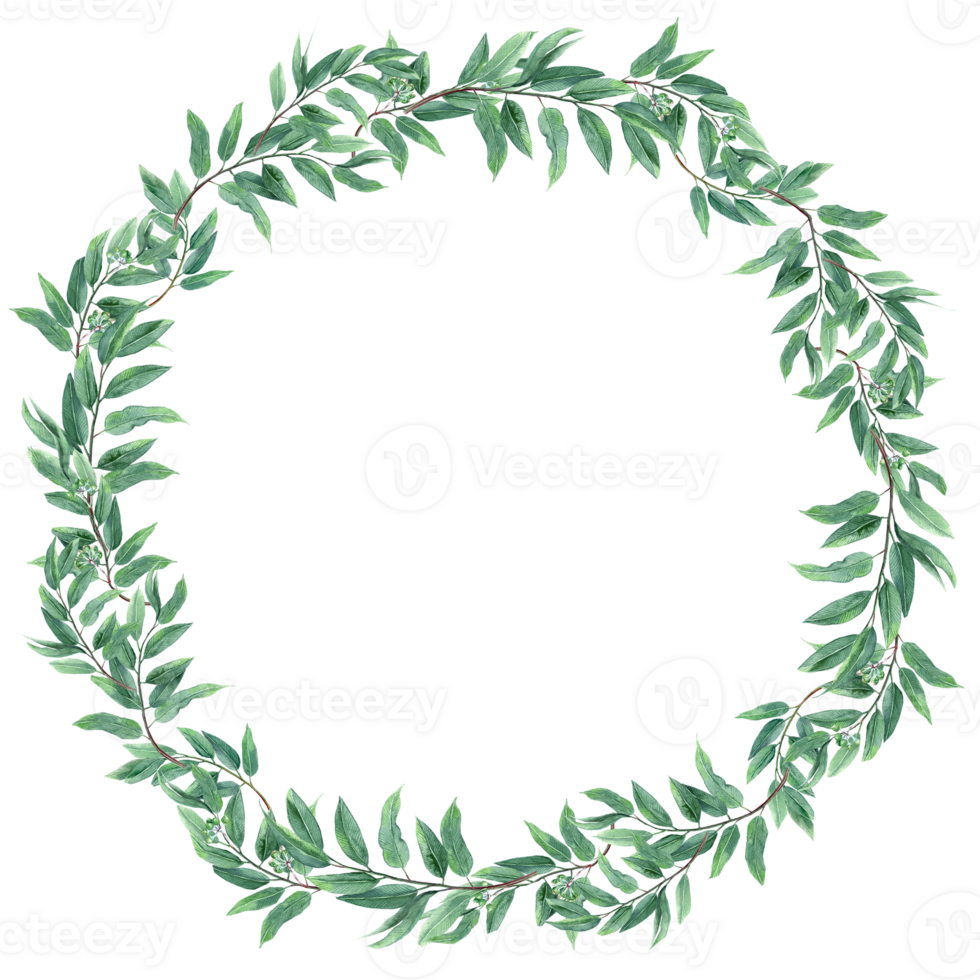 Round wreath with Eucalyptus green branches for greeting Cards png
