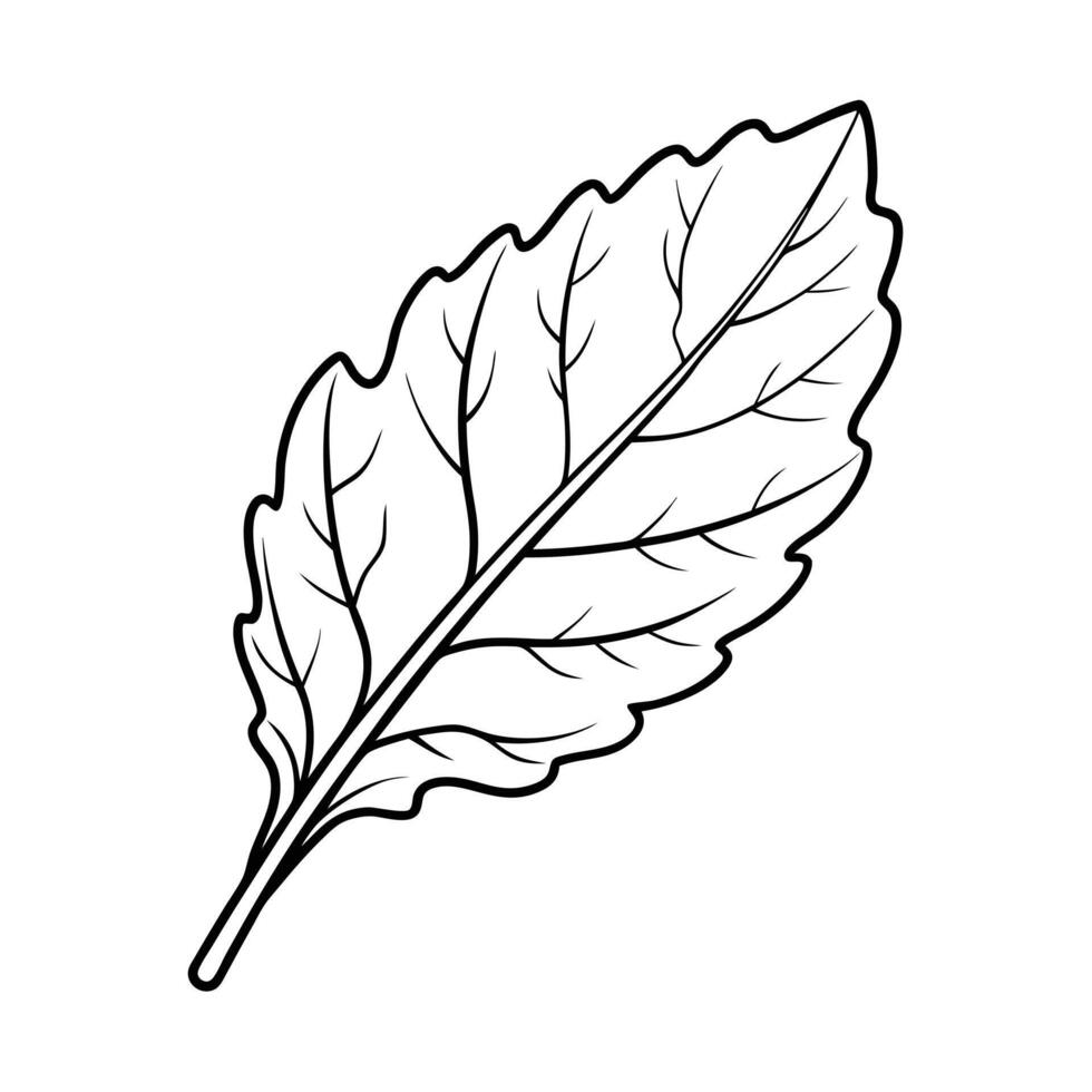 Leaf Outline Illustration Botanical Line Art for Nature Designs vector