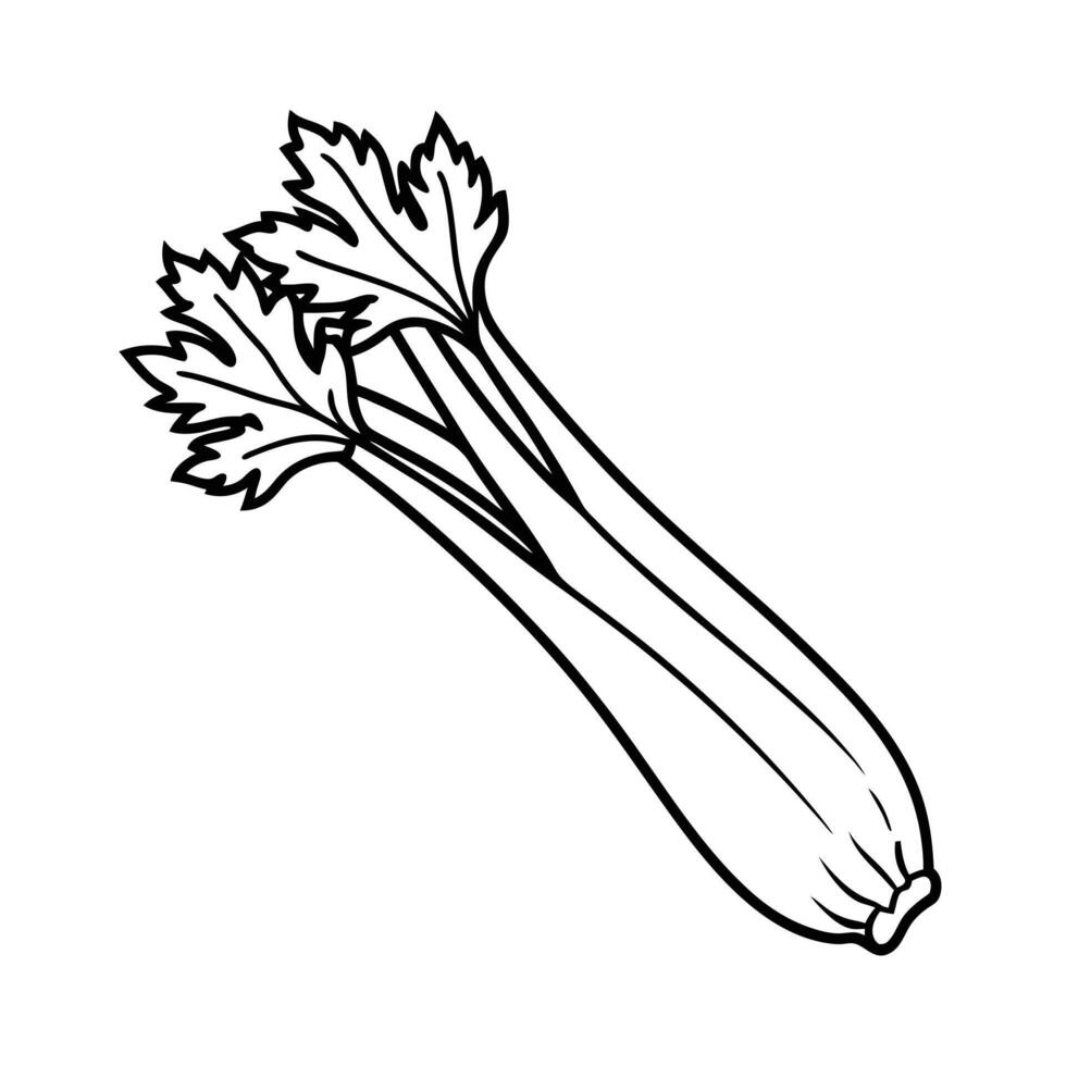 Celery Stock Illustration Fresh Crisp and Healthy vector