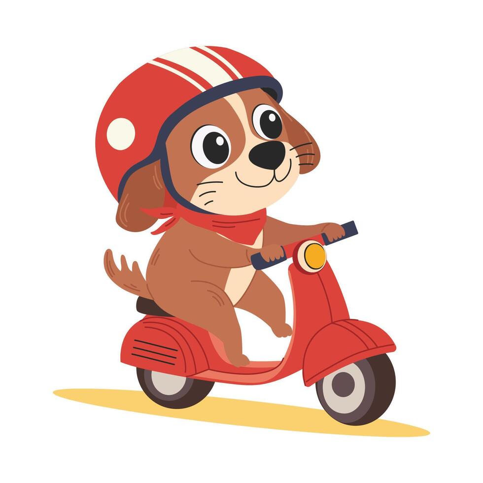 Cute dog in helmet riding a scooter. Happy character on a scooter. children illustration isolated on white background. vector
