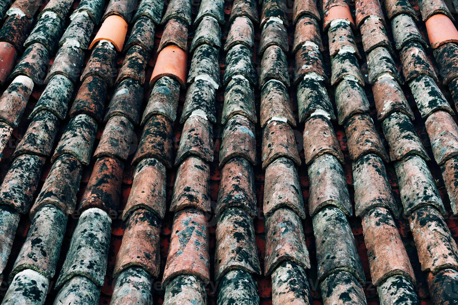 Weathered Terracotta Roof Tiles in Rustic Arrangement photo