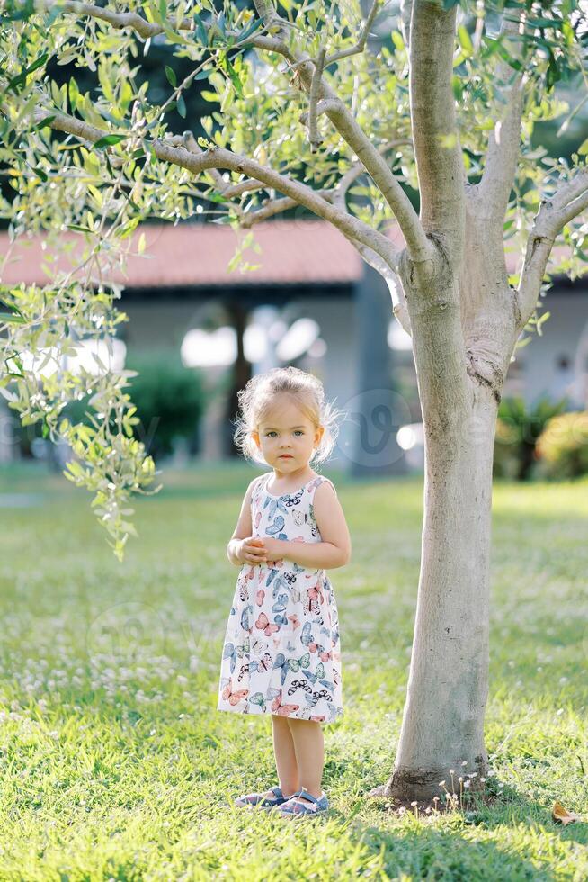 Little girl stands near a young tree in the garden with her hands folded in front of her photo