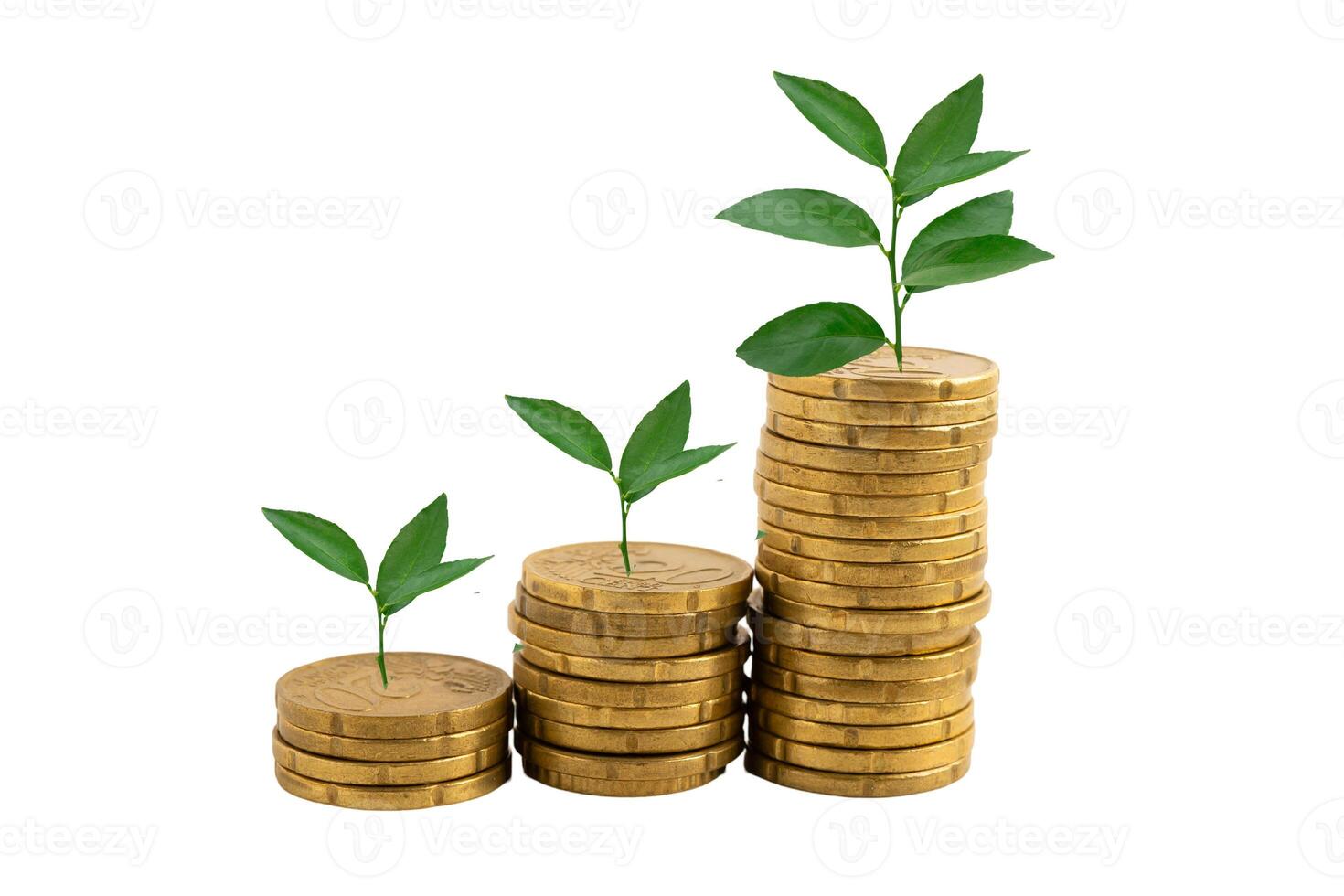 Leaf green plant on save money coins, Business finance saving banking investment. photo
