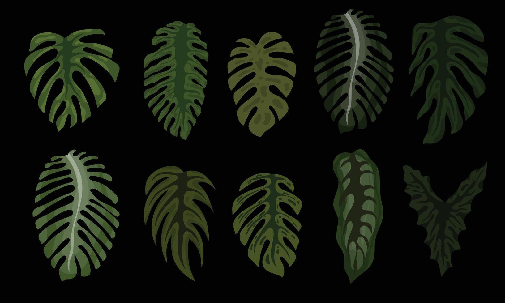 Monstera Leaf Pattern in Dark Tropical Style Background vector