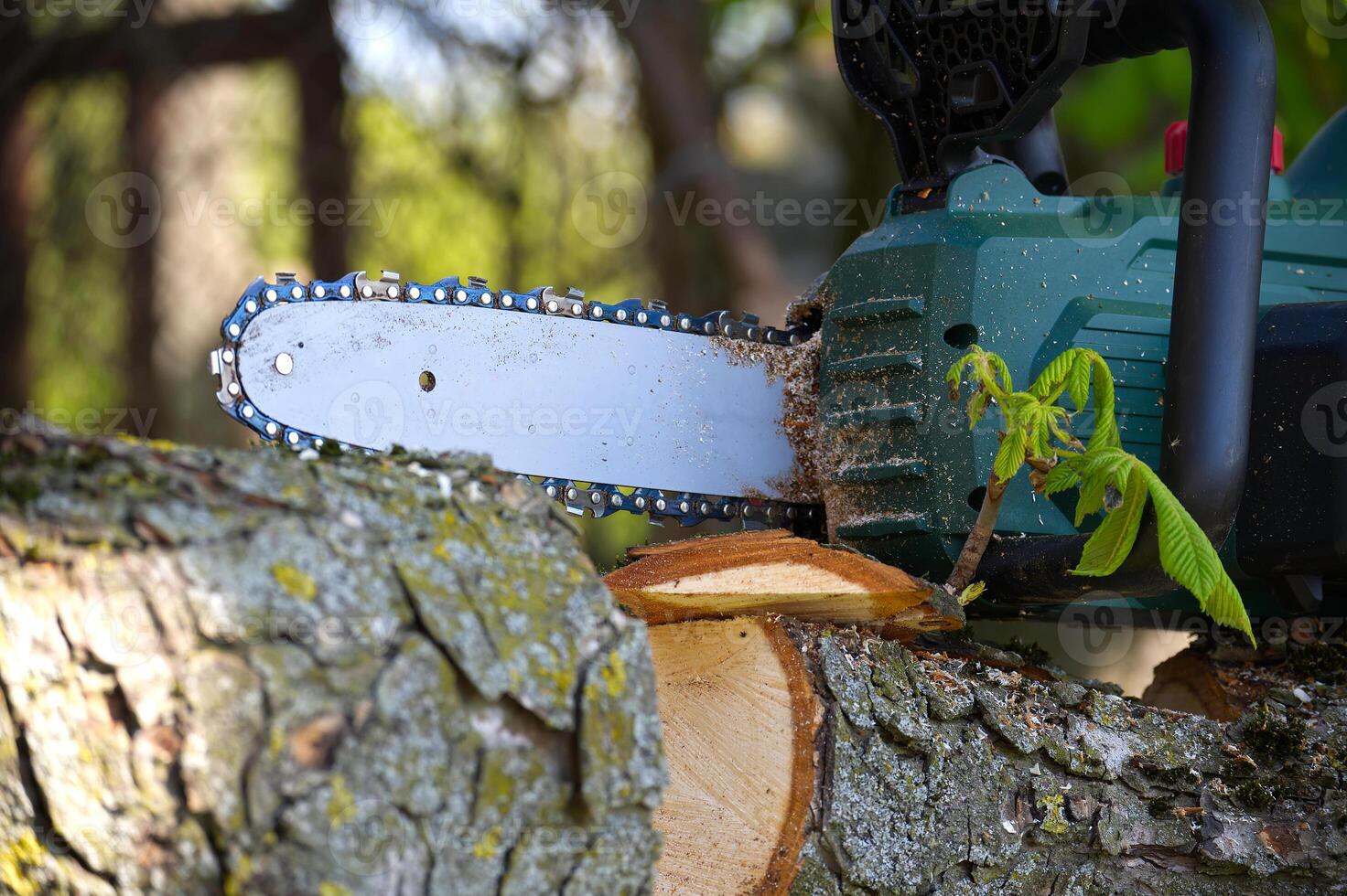 Chainsaw slices through a tree branch, highlighting the power of the wood cutting tool. photo