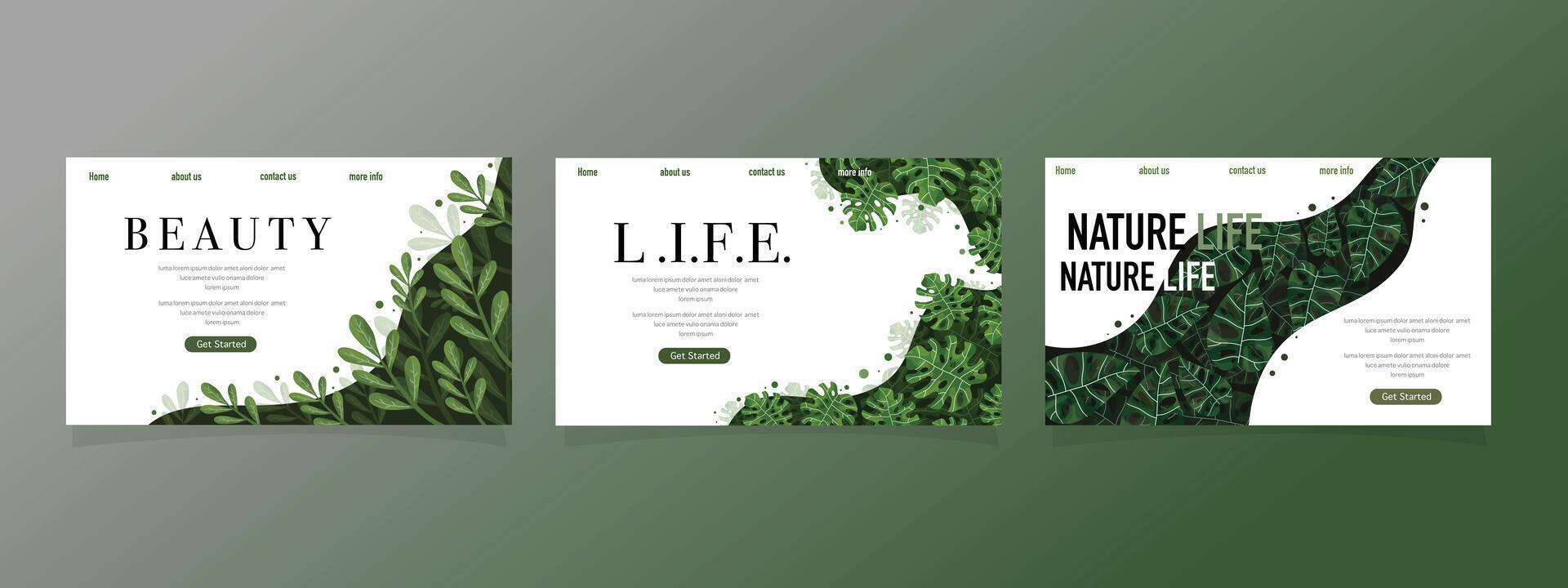 Botanical Nature Background with Green Leaves vector