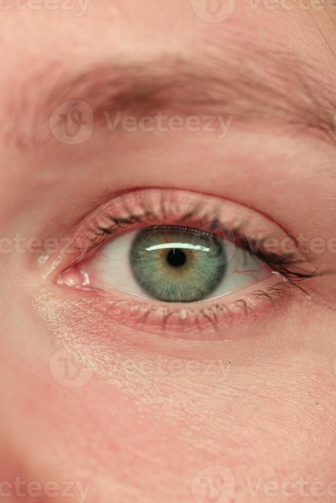 A CloseUp of a Beautiful Green Eye Featuring Intricate Details and Charming Features photo