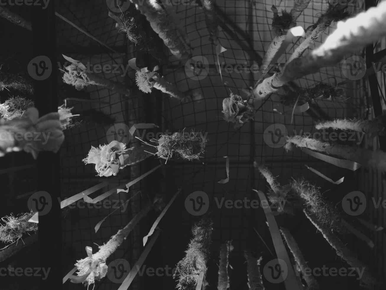 An Abstract View of Hanging Flowers Depicted in Monochrome, Emphasizing Unique Aesthetic Appeal photo