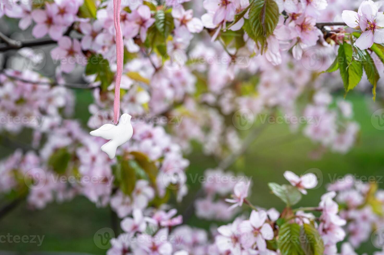 A white bird on a branch of a tree with pink flowers photo