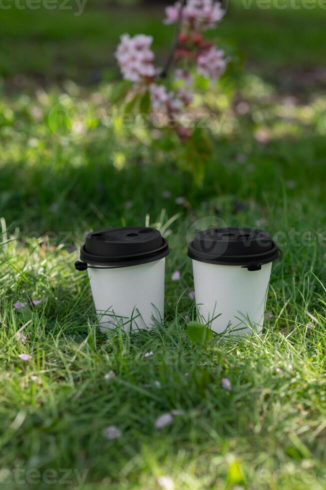 Two coffee cups on the grass with a tree in the background photo