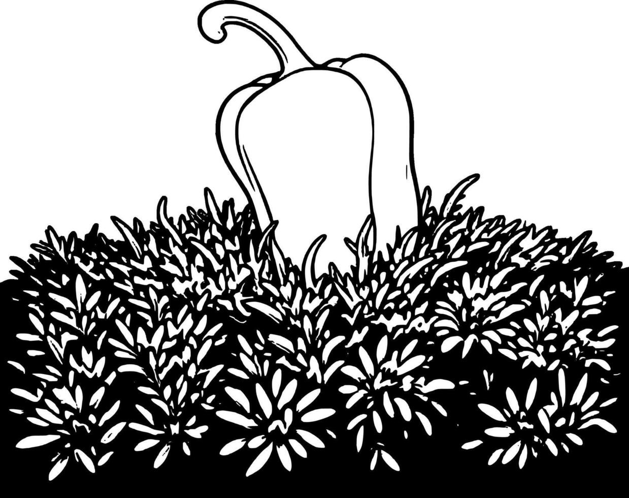 A black and white drawing of a pepper in the grass vector