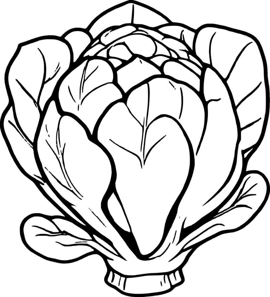An illustration of a head of artichoke vector