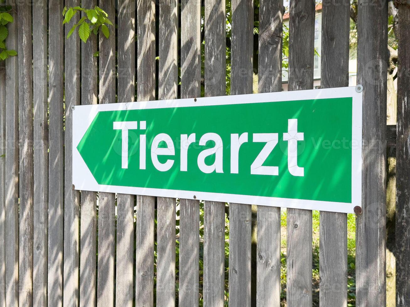 Green veterinarian sign in german on wooden fence photo