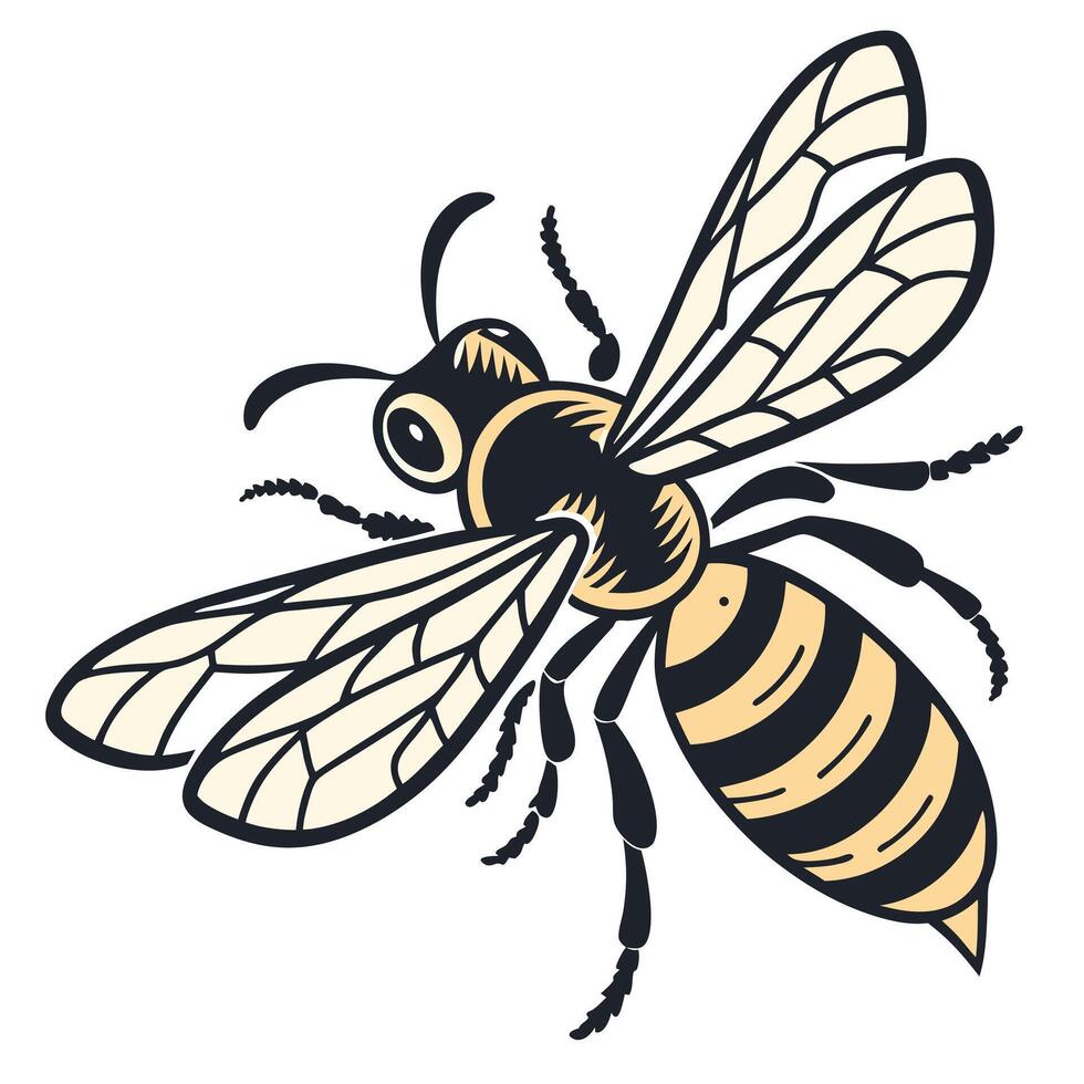 Detailed Illustration of a Honeybee in Flight vector