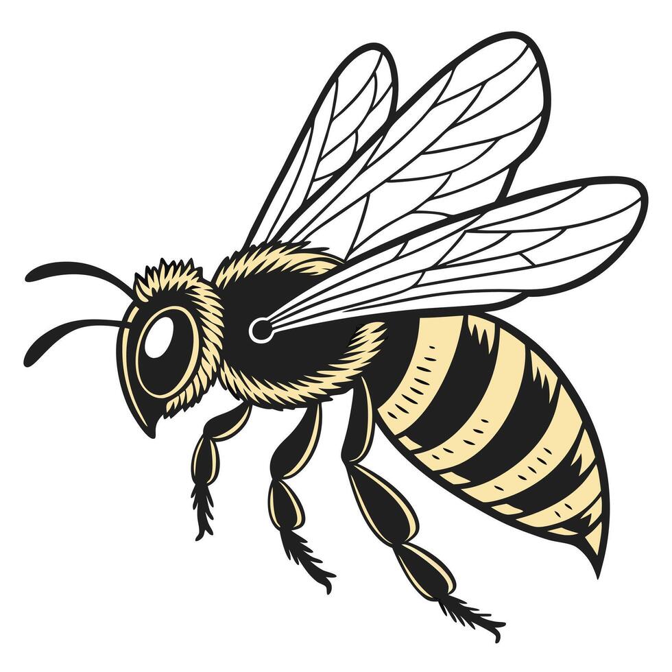 Stylized Illustration of a Honeybee in Flight vector