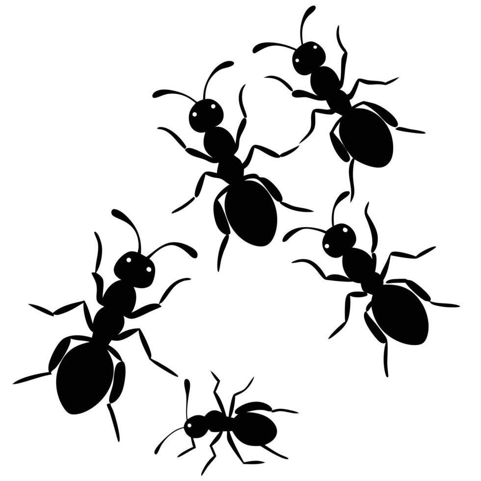 Black Ant Silhouettes Illustration Graphic Design vector
