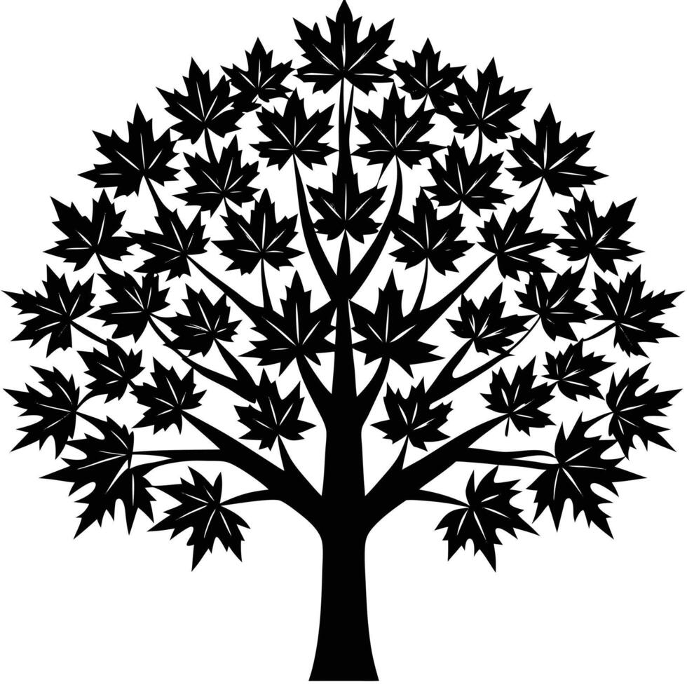 Black Silhouette of a Full Maple Tree vector