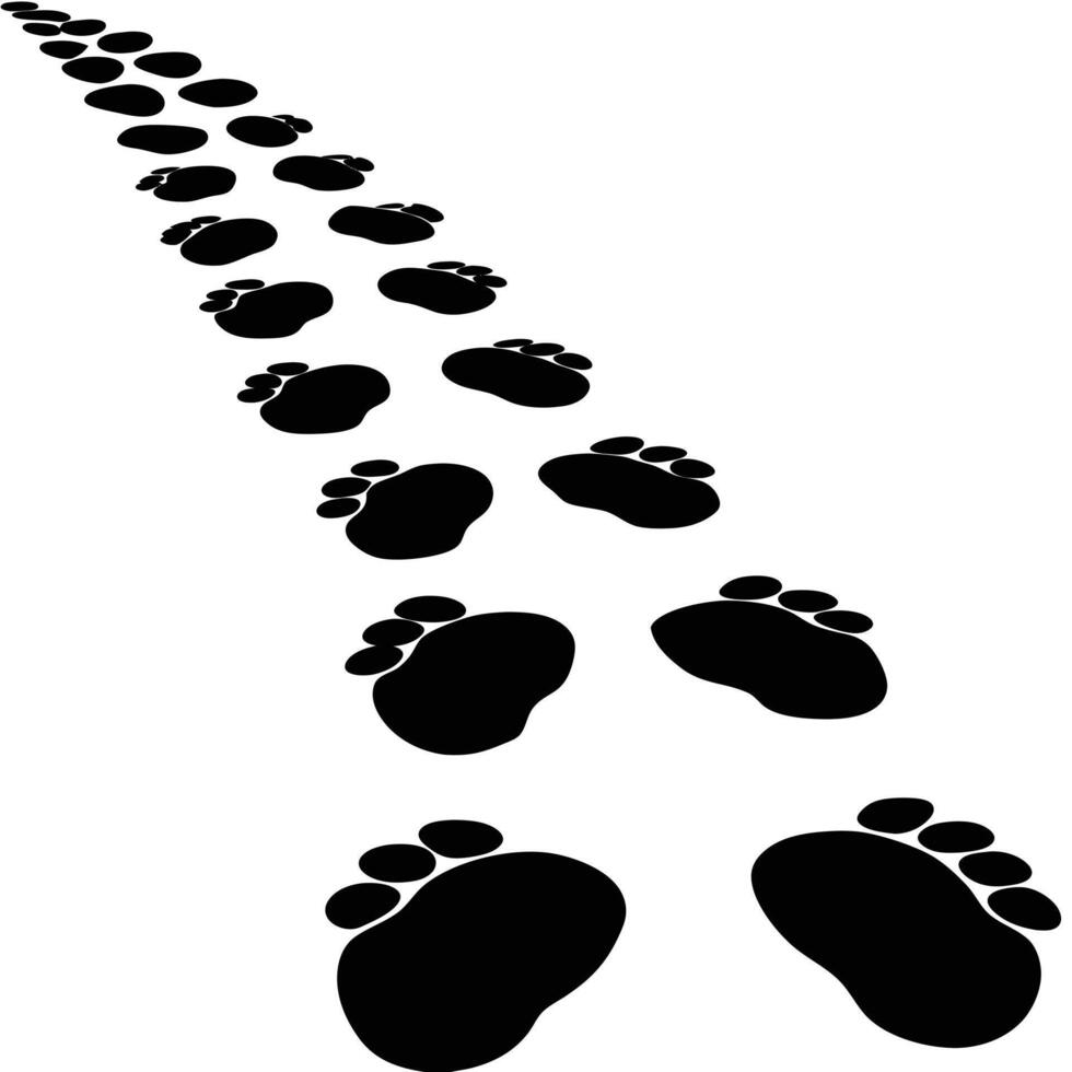 A Series of Black Paw Prints Leading Away vector