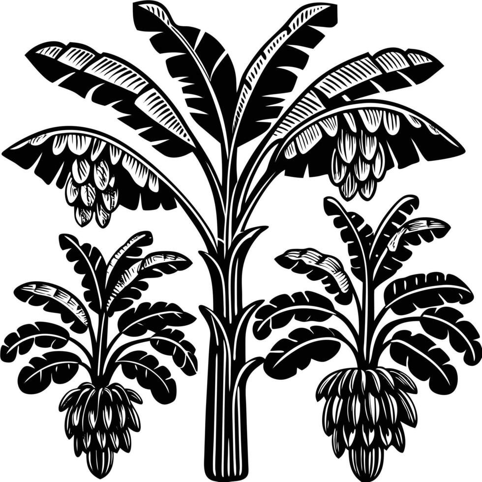 Stylized Black and White Banana Tree Illustration vector