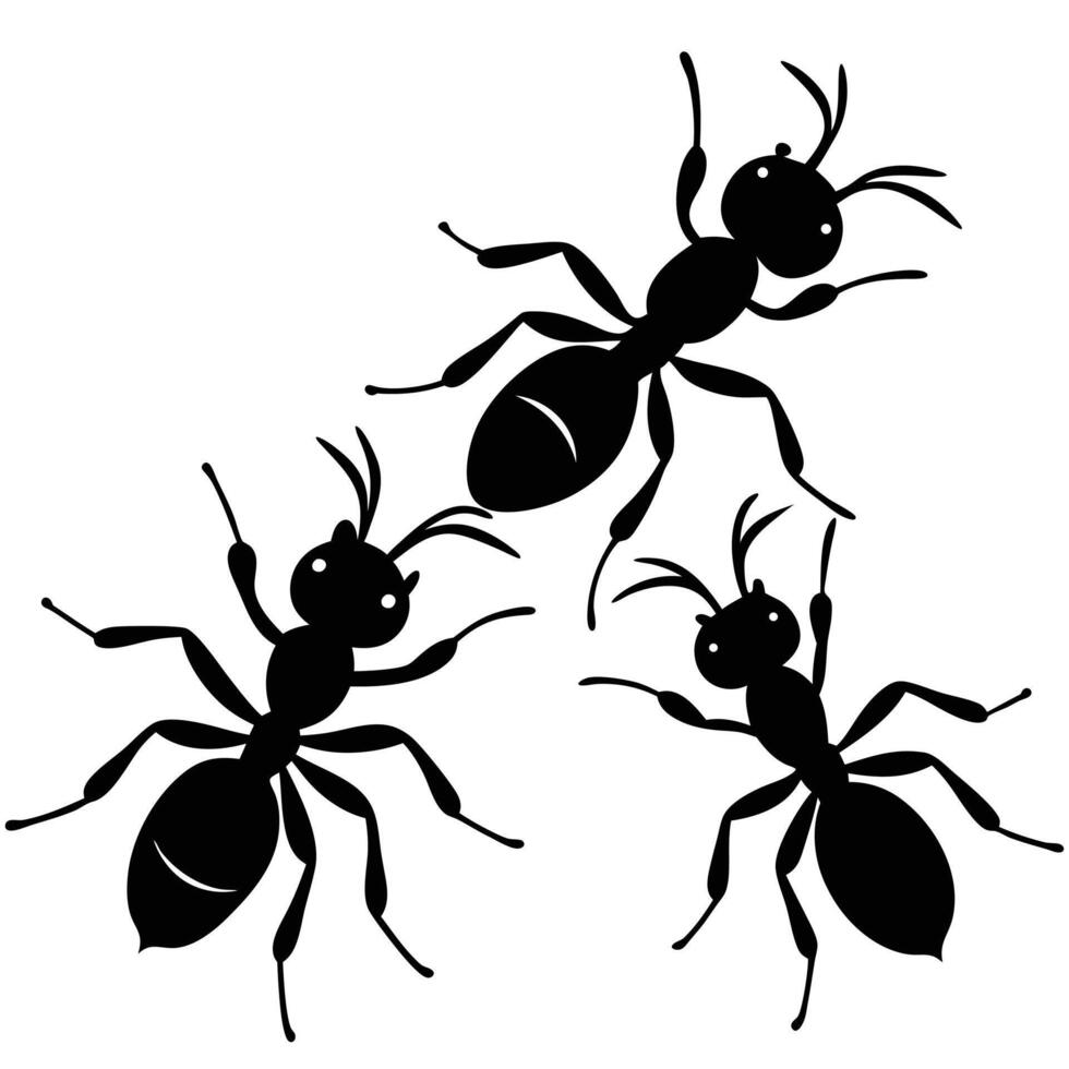 Three Black Ant Silhouettes on White vector