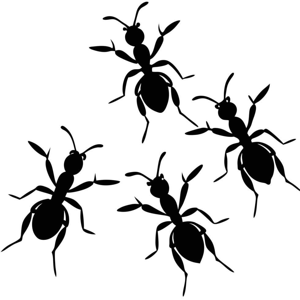 Four Black Ant Silhouettes on White Background vector