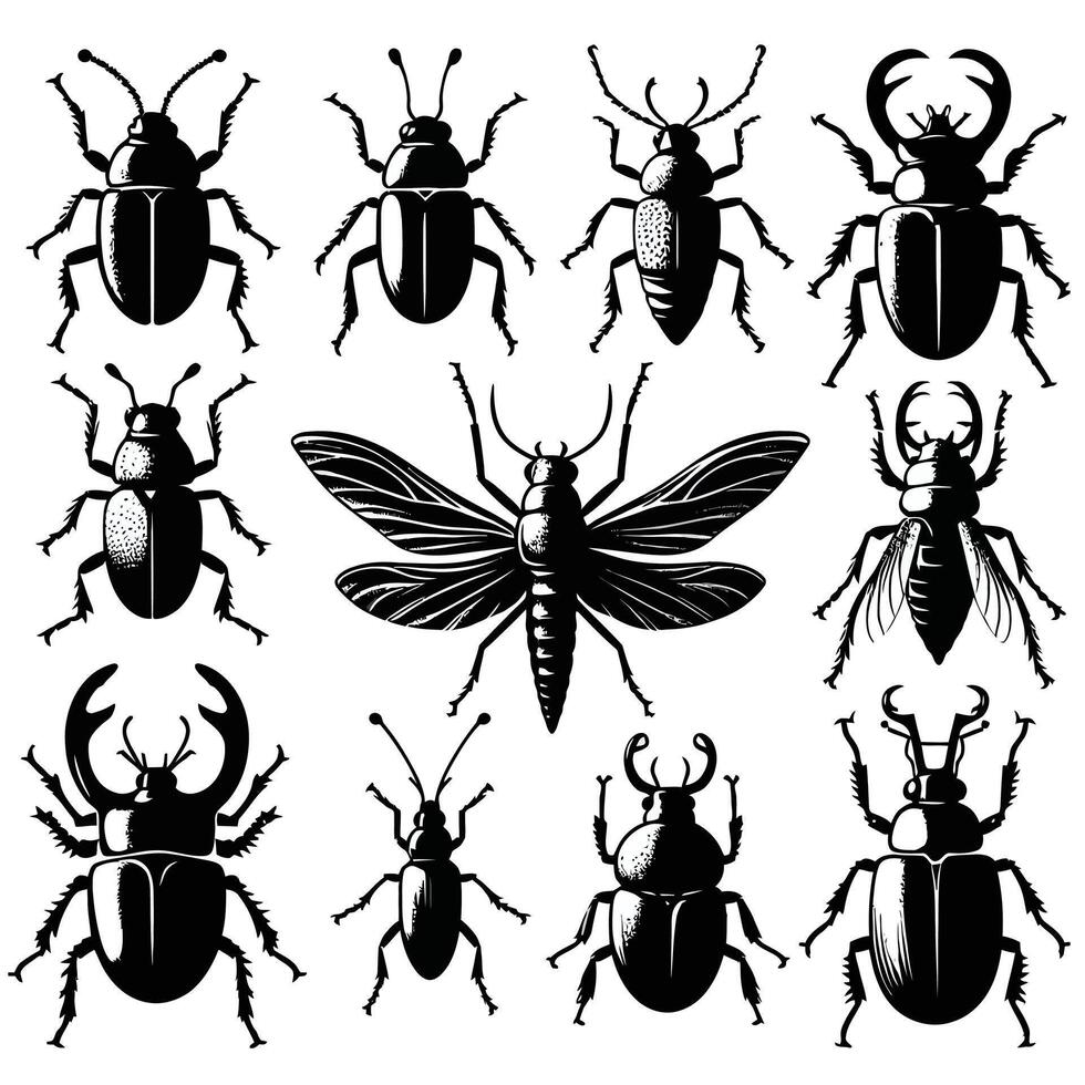 Bugs silhouette with white background vector