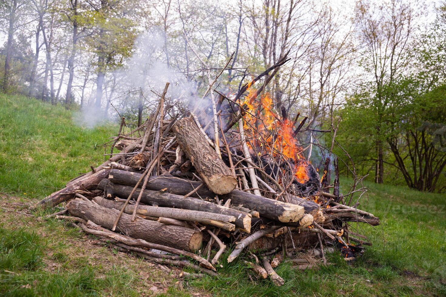 Pile of dry logs and branches igniting in a vibrant fire, surrounded by lush green grass and trees, creating a warm and inviting atmosphere in a natural outdoor setting photo