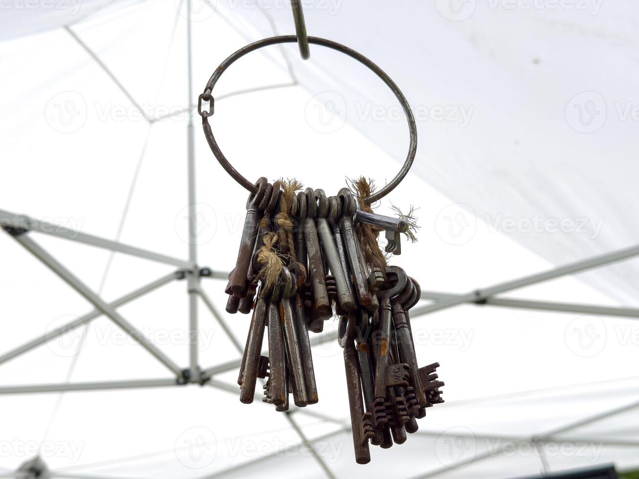 Vintage skeleton keys on rusty ring against canopy background photo