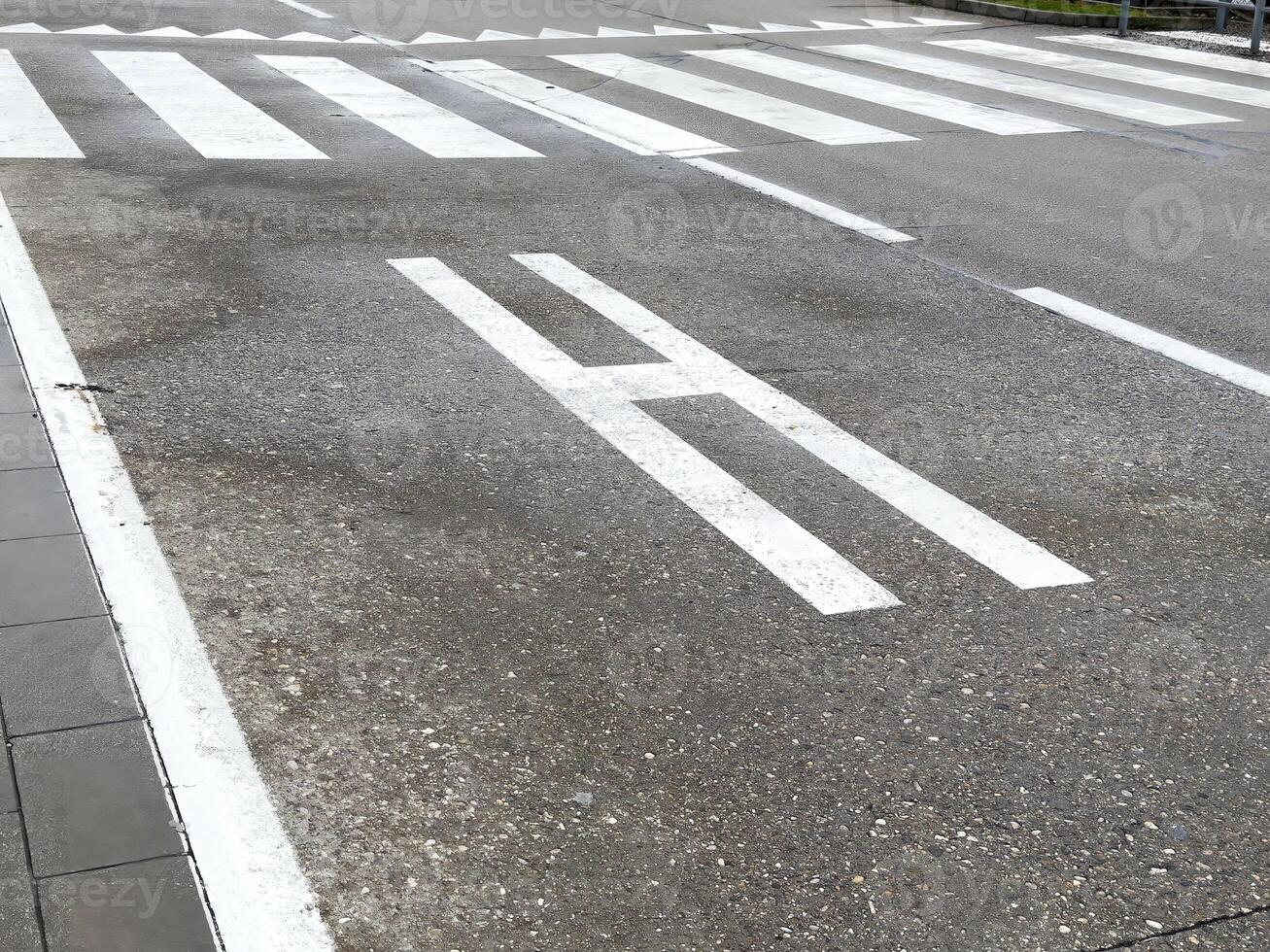 Concrete roadway with white markings and crosswalk lines near sidewalk photo