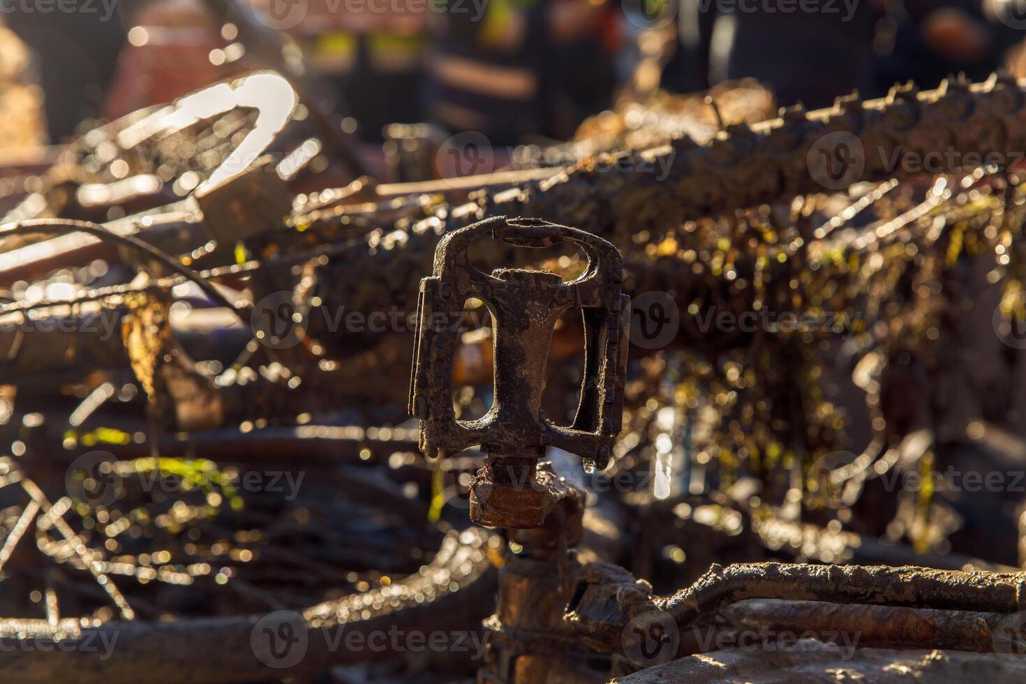 Abandoned rusty bicycle in muddy terrain with sunlight reflection photo