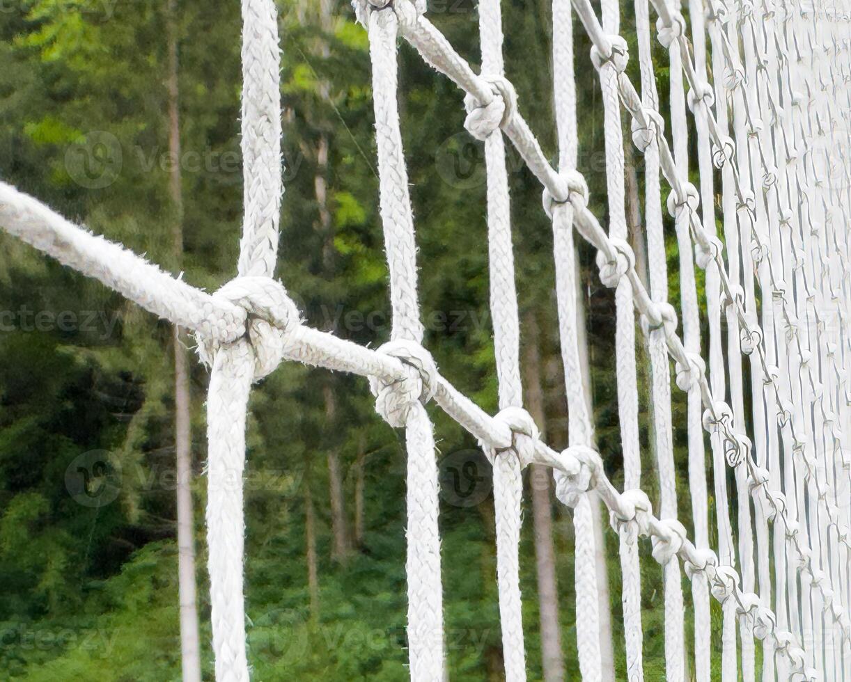 Close-up of rope bridge netting against lush forest backdrop photo