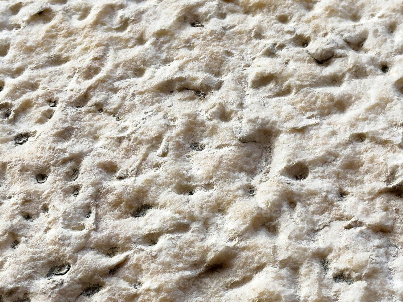 Close-up texture of swiss cheese with visible holes and creamy surface photo