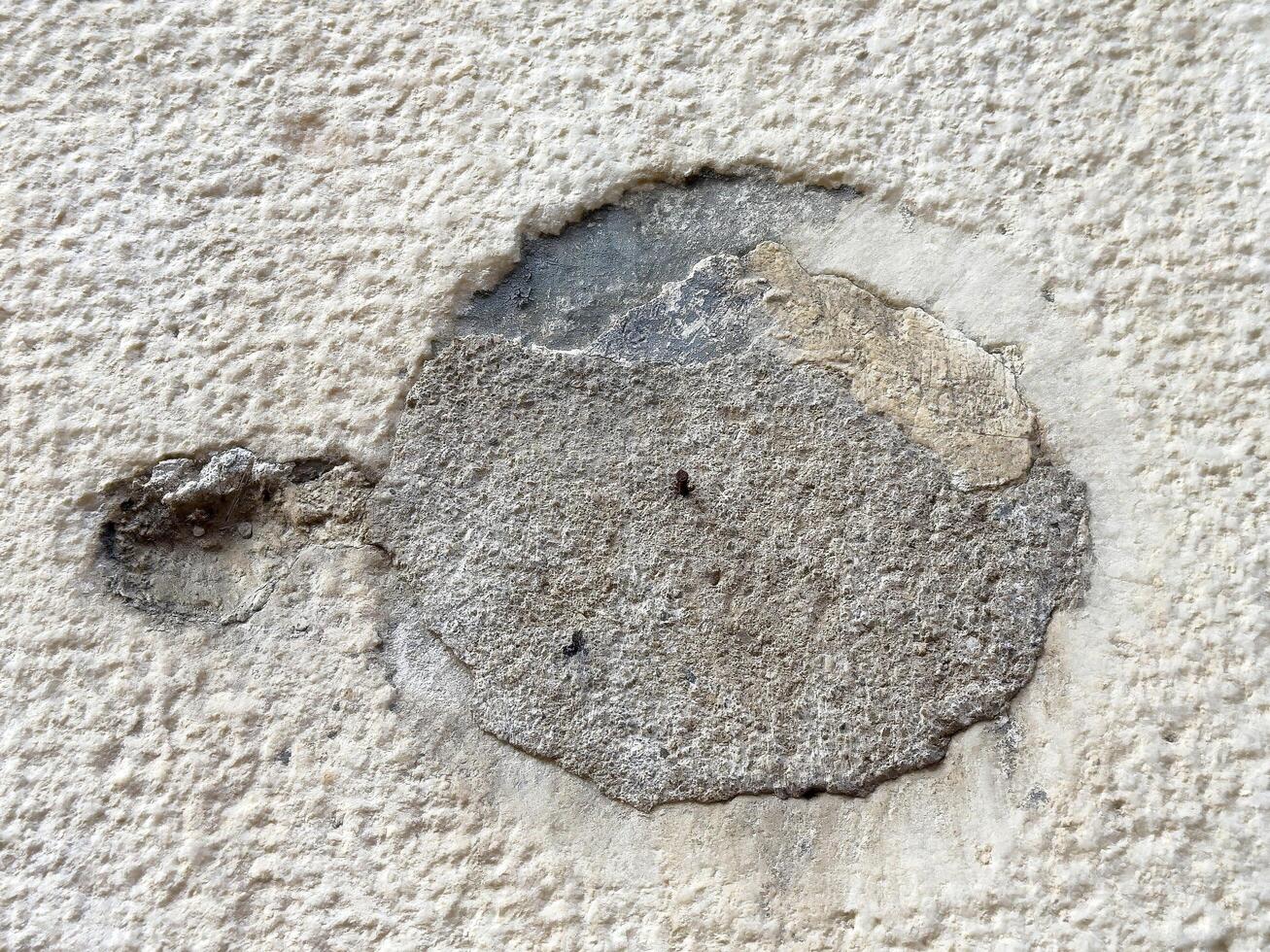 Close-up of weathered concrete wall surface with exposed patch photo
