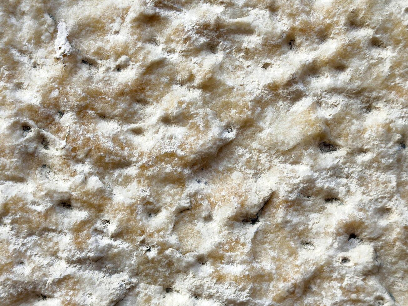 Close-up of textured rough stone surface with natural beige and white patterns photo