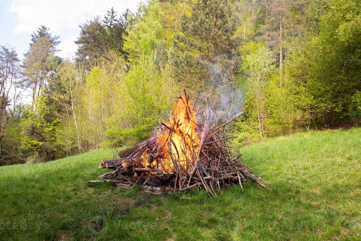 Vibrant bonfire blazing with bright orange flames, surrounded by lush green grass and trees, creating a warm and inviting atmosphere in a serene natural setting during daylight hours photo