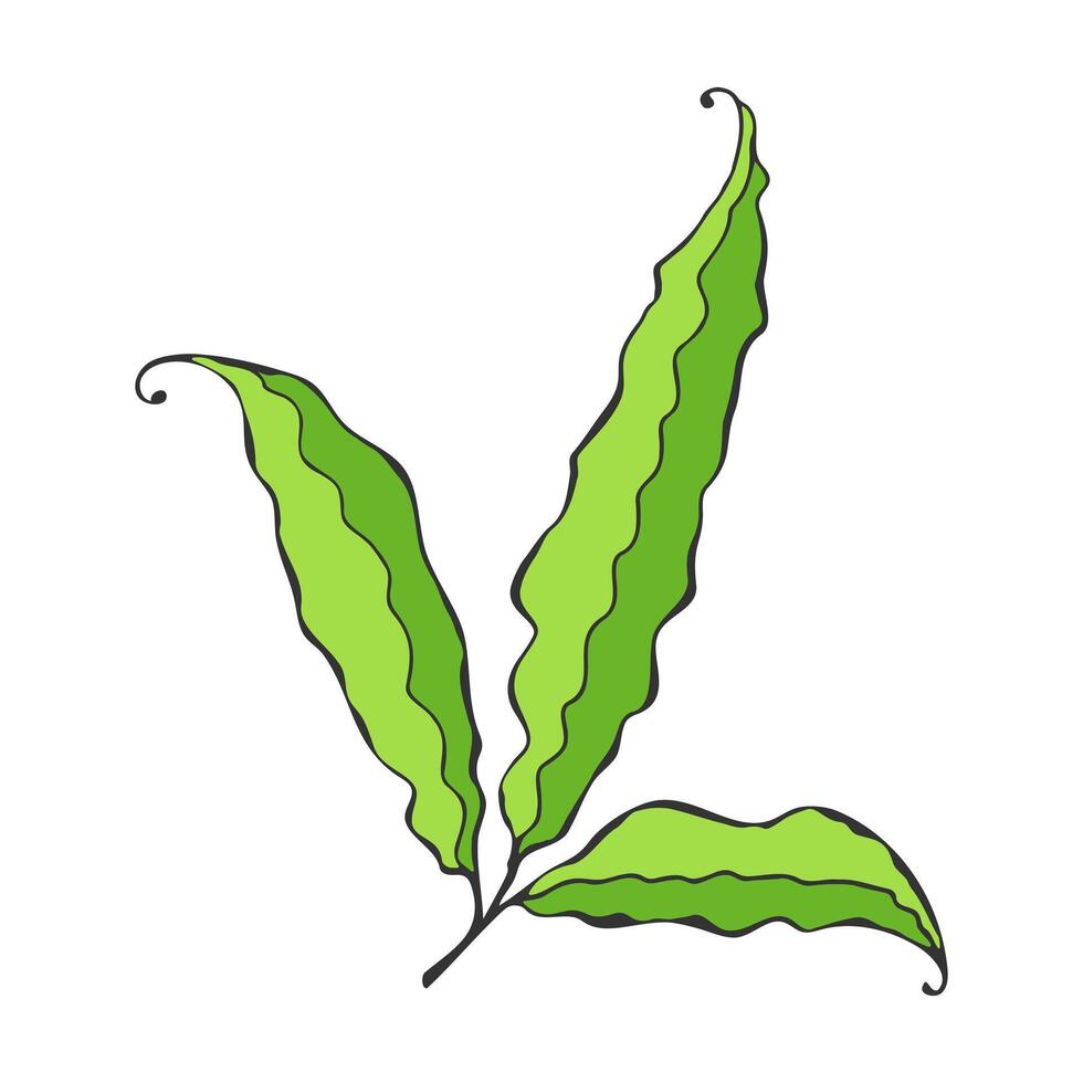 Leaves or pods of plant, green stylized doodles on white background. Possibly green pea pods. Botanical design element. vector