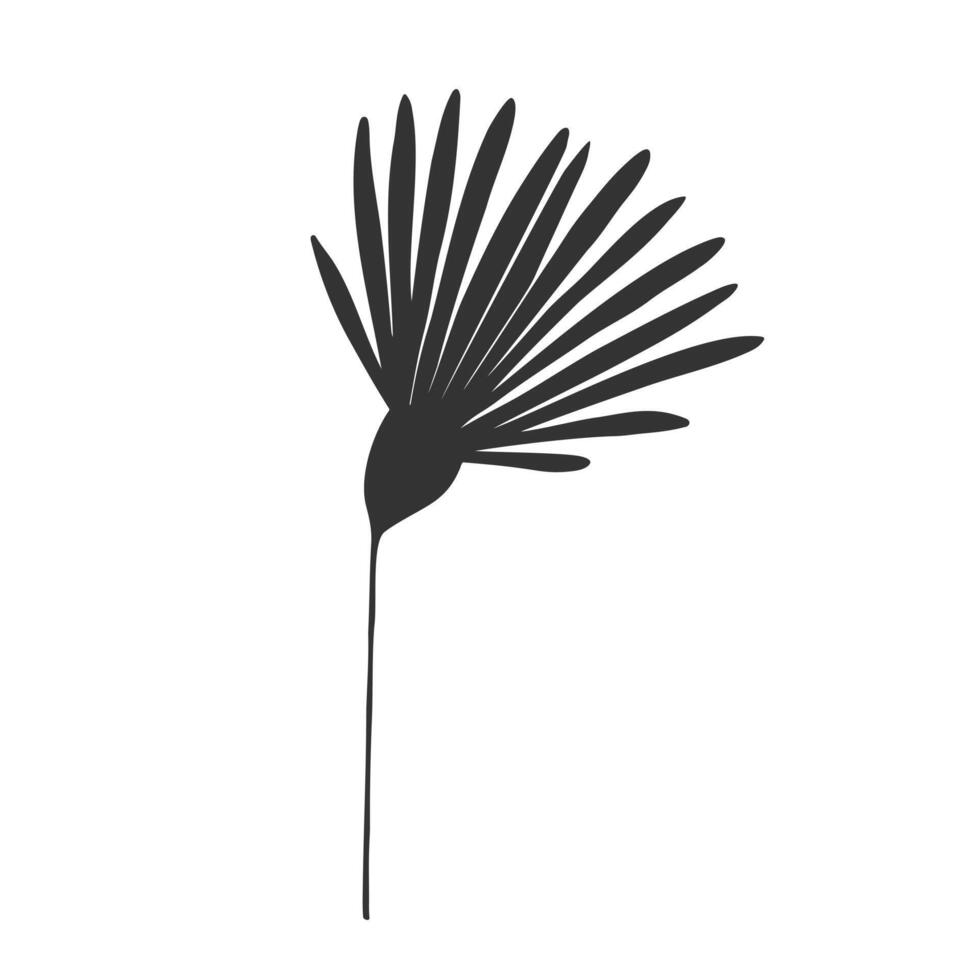 Flower silhouette, chamomile dandelion echinacea, isolated on white background. vector