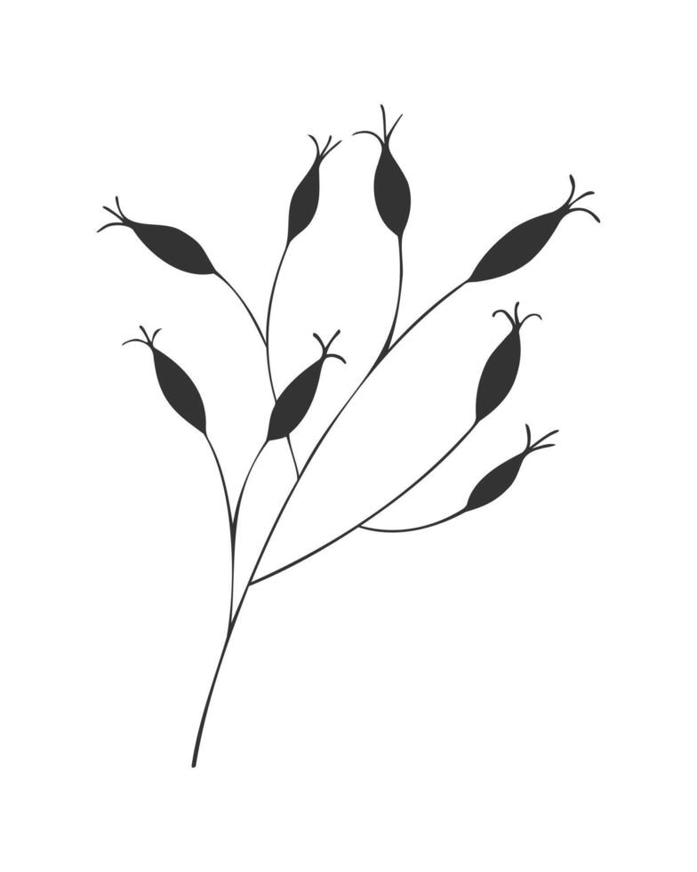 Silhouette of Rosehips branches on white background. Rosehips or roses, harvest, source of vitamin C. Hand drawn doodle. vector